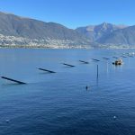 comar ha realizzato il nuovo porto comunale a gambarogno in svizzera